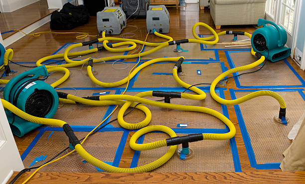 Professional Crawl Space Water Removal technician working in New Bloomfield, MO